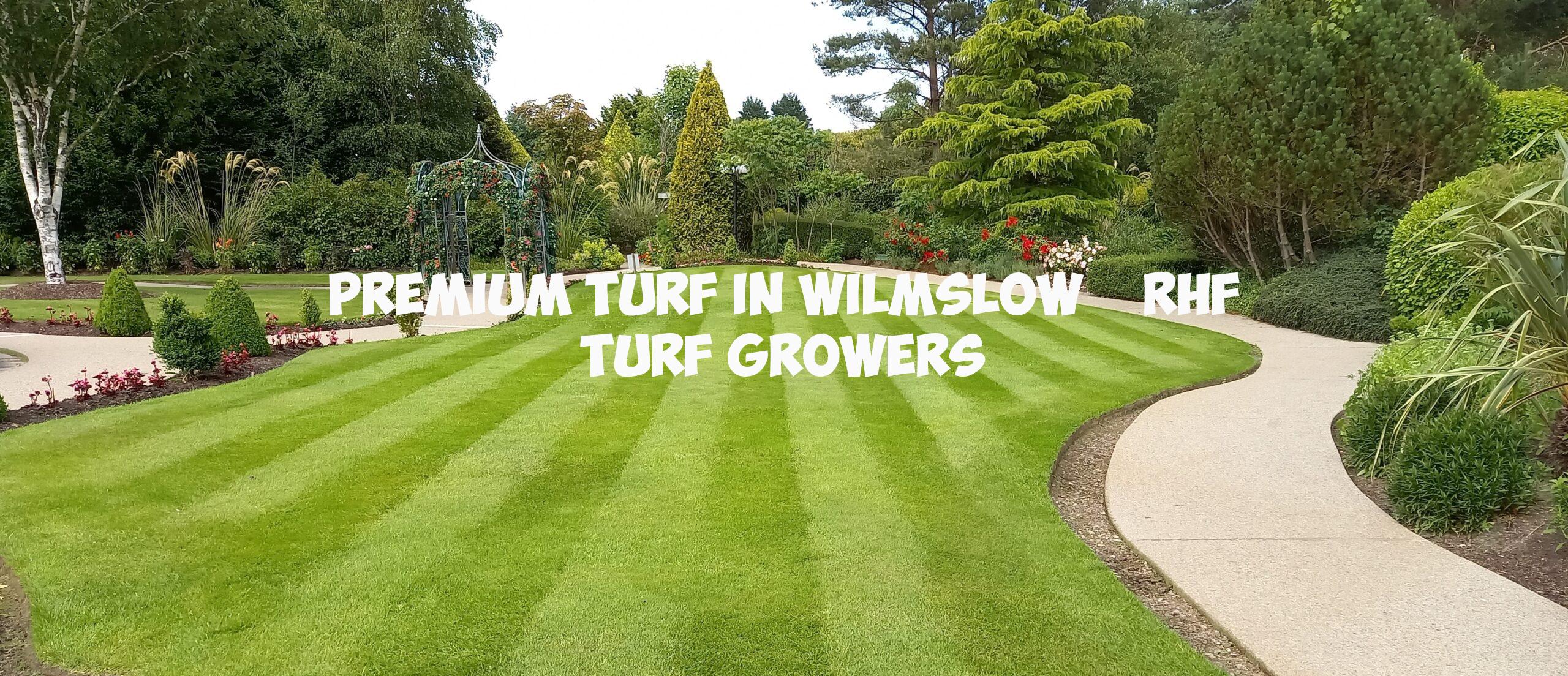 Premium Turf in Wilmslow