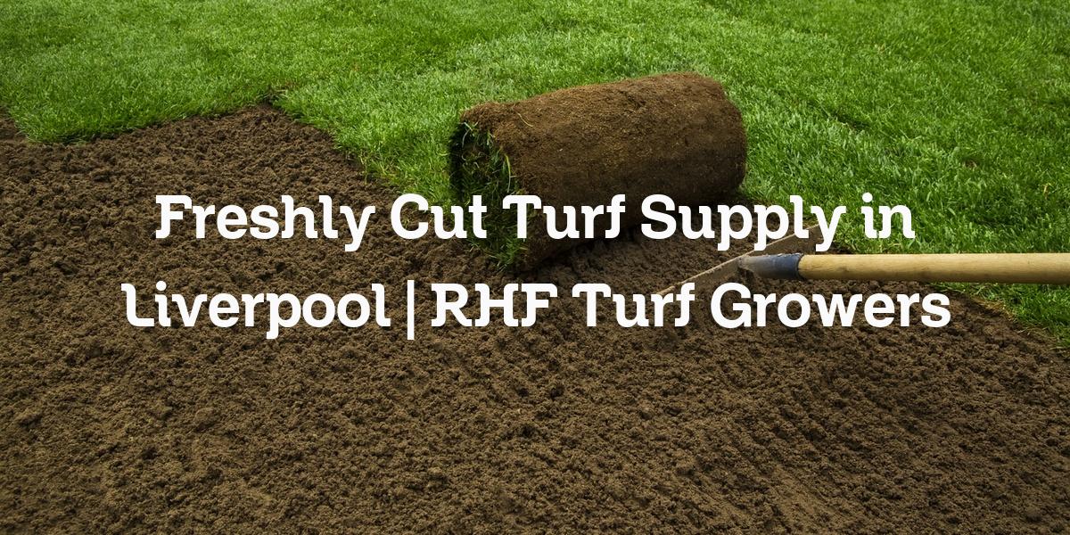 Freshly cut turf supply Liverpool
