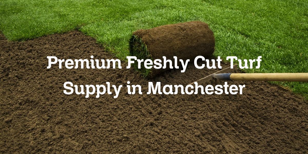 Freshly cut turf supply